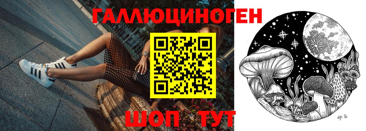 Галлюциногенные грибы Magic Shrooms  Галлюциногенные грибы мицелий  Нурлат  наркотики  Вход с VPN 